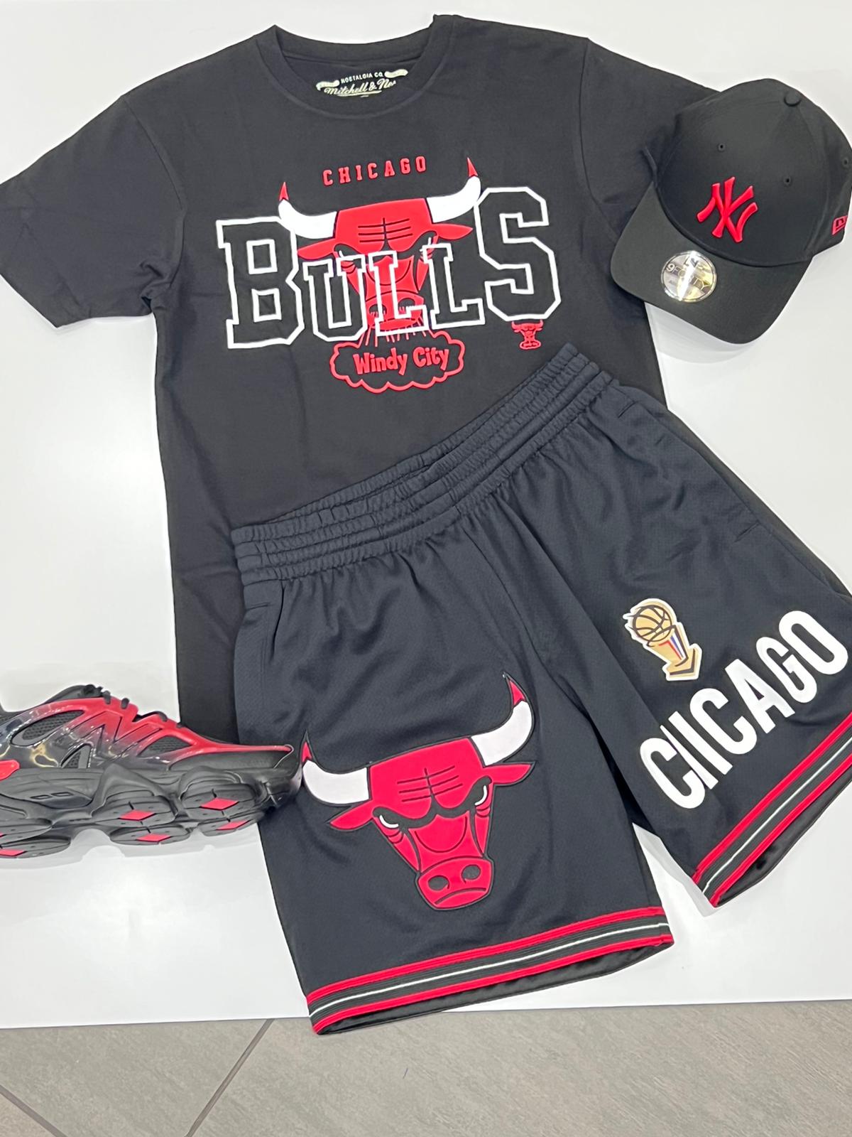 COMPLETINO CHICAGO BULLS NBA