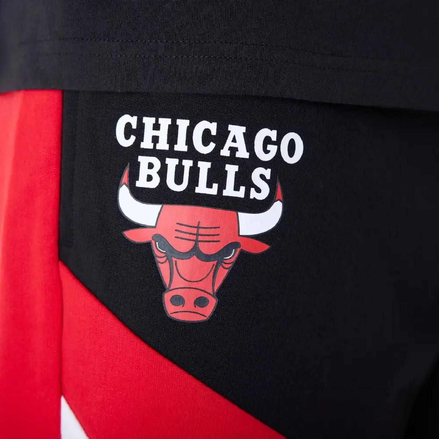 COMPLETINO CHICAGO BULLS