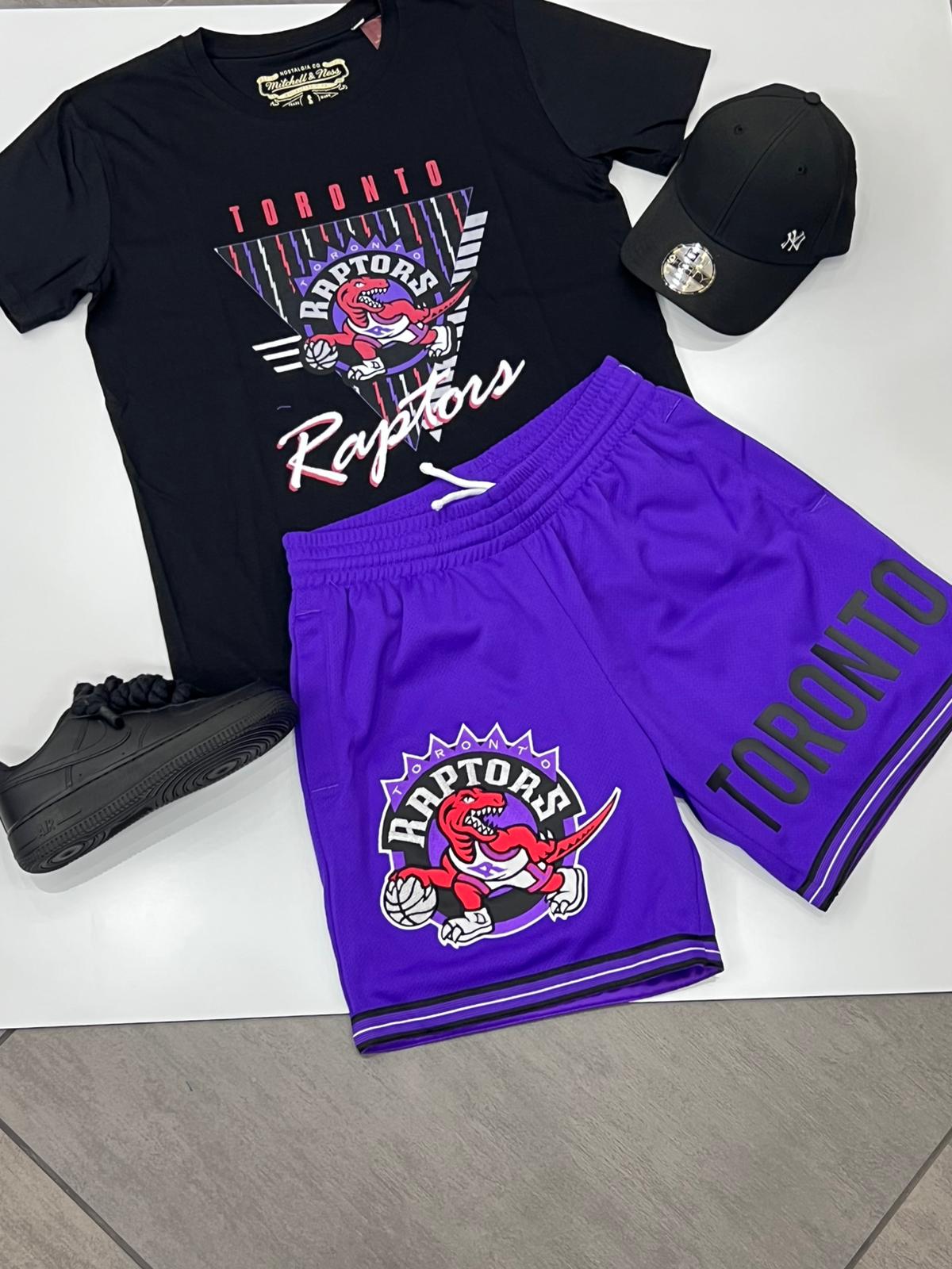 COMPLETINO NBA TORONTO RAPTORS