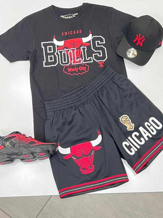 COMPLETINO CHICAGO BULLS NBA