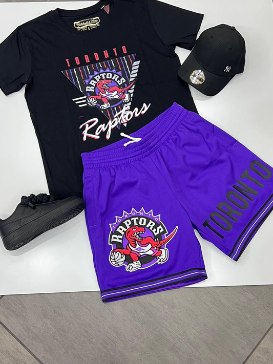 COMPLETINO NBA TORONTO RAPTORS