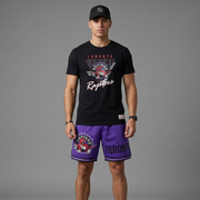 Completino nba toronto raptor
