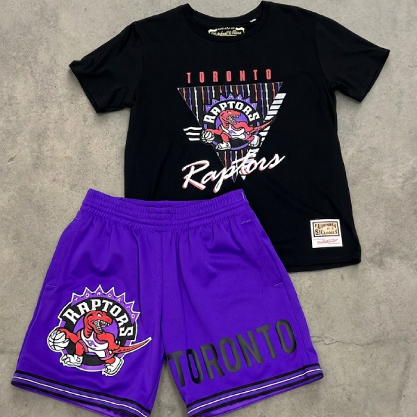 Completino nba toronto raptor