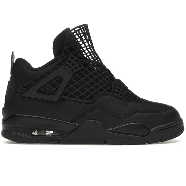 Air Jordan 4 Net