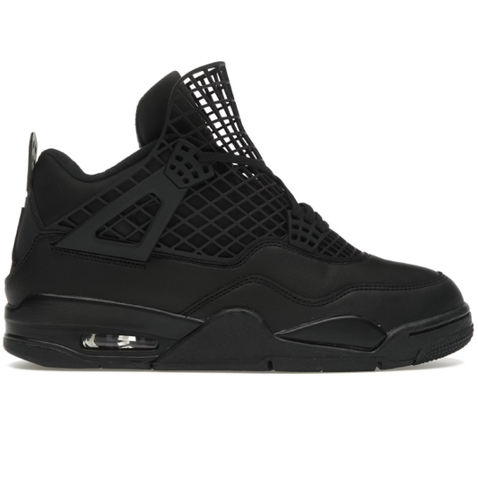 Air Jordan 4 Net