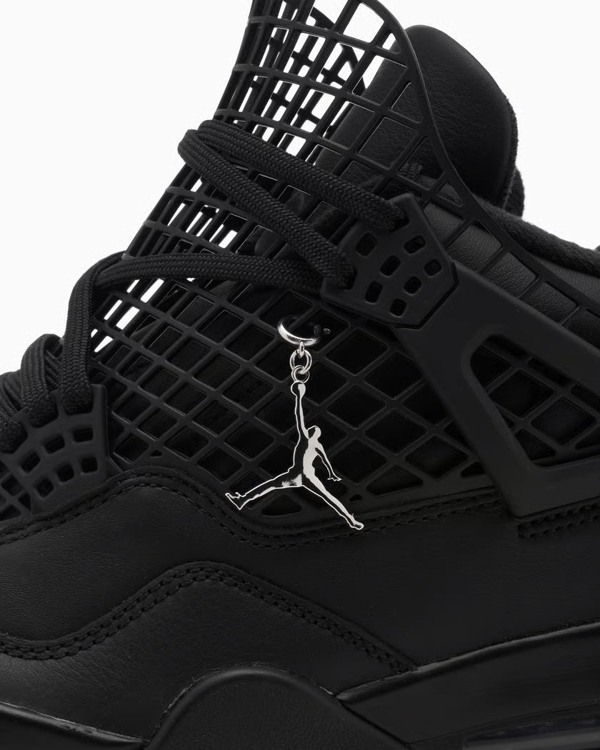 Air Jordan 4 Net